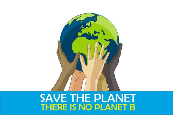SAVE THE PLANET FLAG