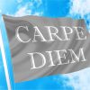 carpe diem σημαια