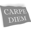 carpe diem σημαια